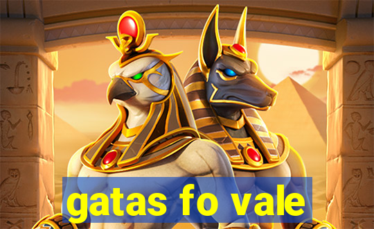 gatas fo vale